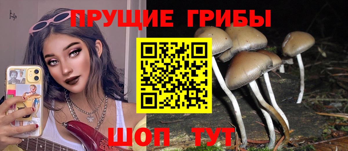 Наро-Фоминск  Псилоцибиновые грибы Magic Shrooms  Вход с VPN 